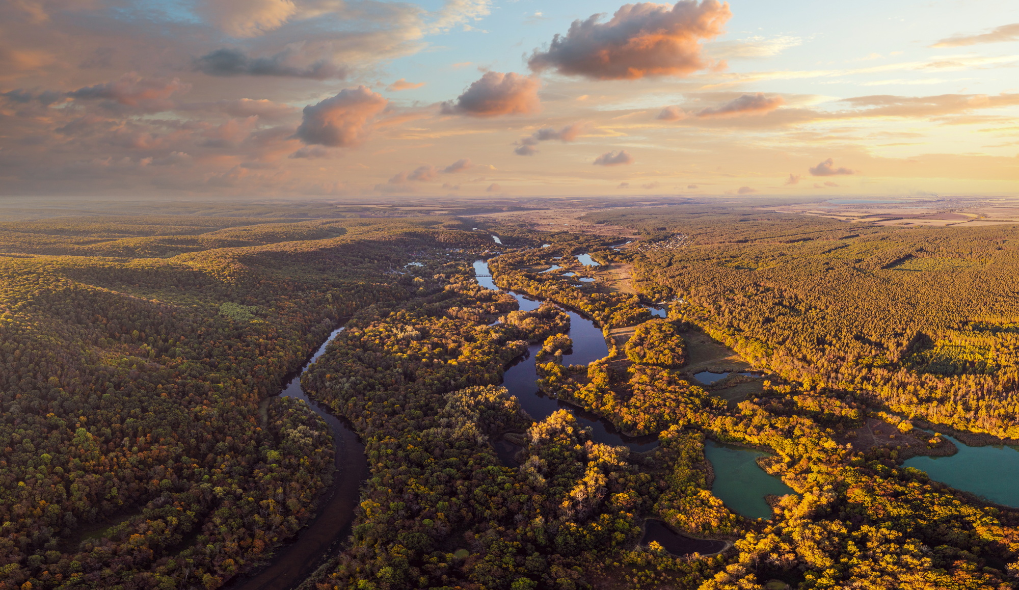 River branches running among forestry landscape in autumn